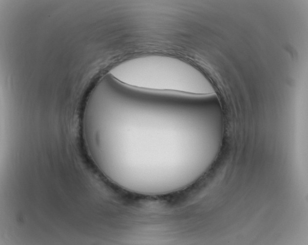 X0000115560689200911061148