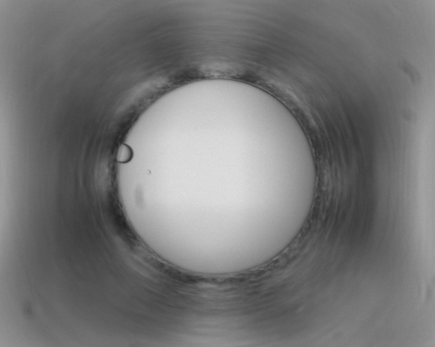 X0000115560690200911061148