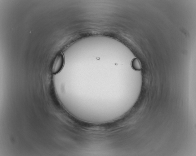 X0000115560691200911061148