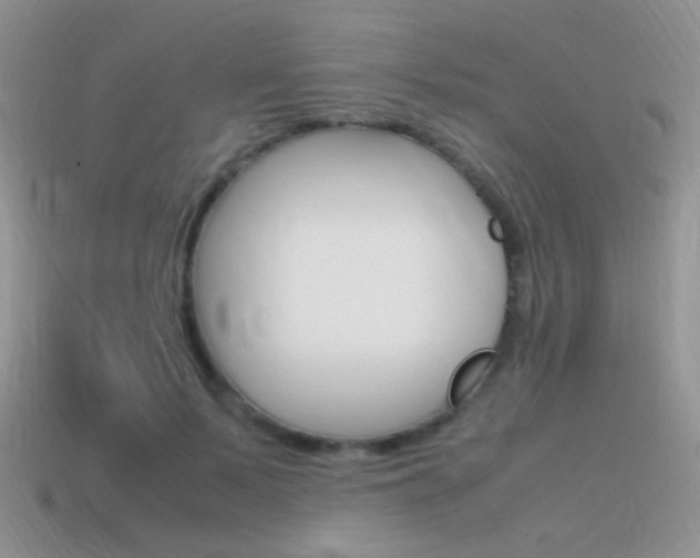 X0000115560695200911061148