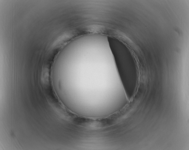 X0000115560696200911061148