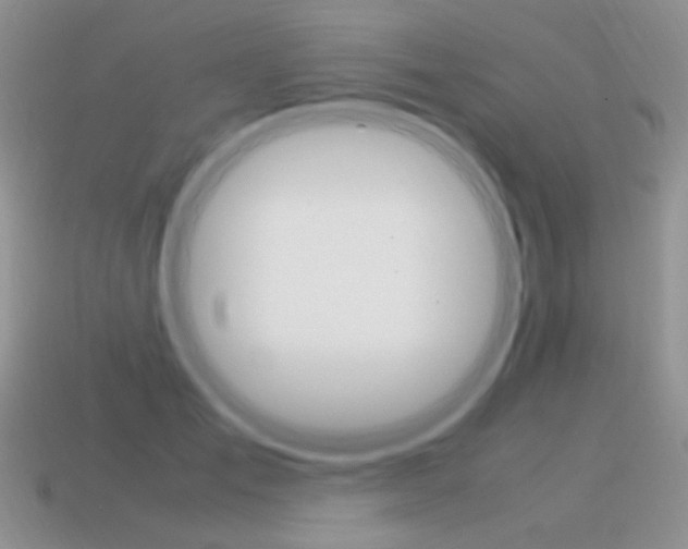 X0000115560701200911061148