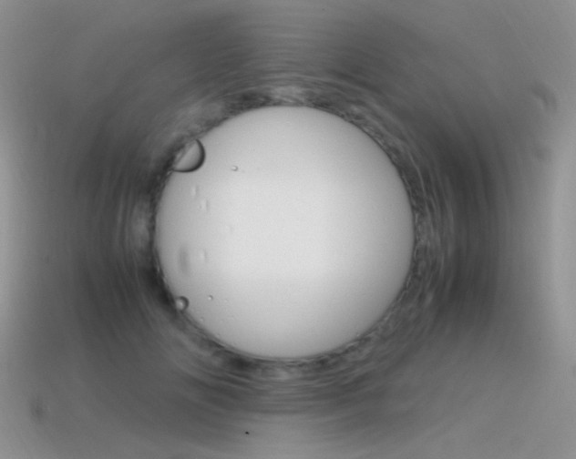 X0000115560702200911061148
