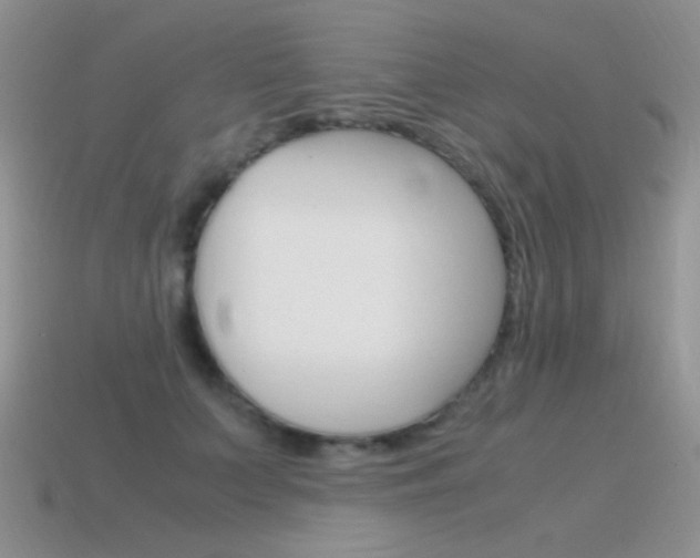 X0000115560703200911061148