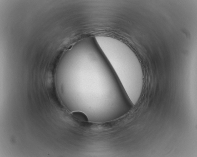X0000115560704200911061148