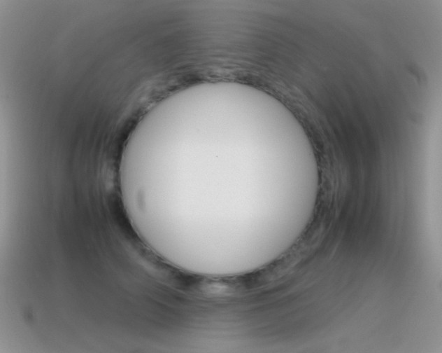 X0000115560706200911061148