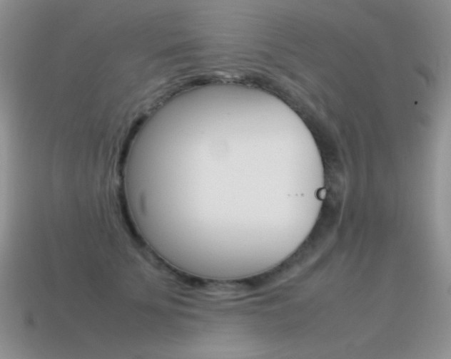 X0000115560707200911061148