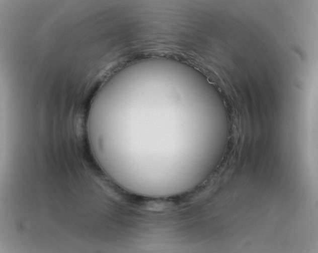 X0000115560708200911061148