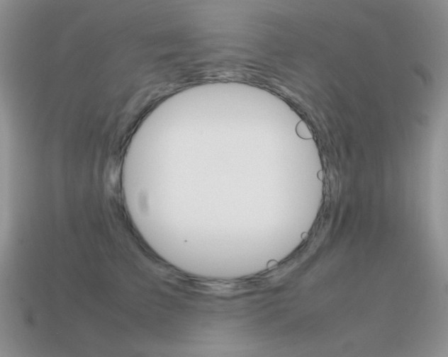 X0000115560709200911061148