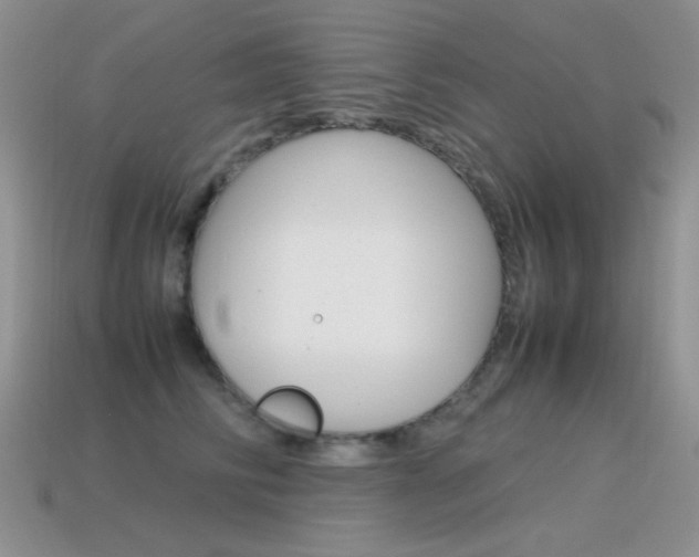 X0000115560710200911061148