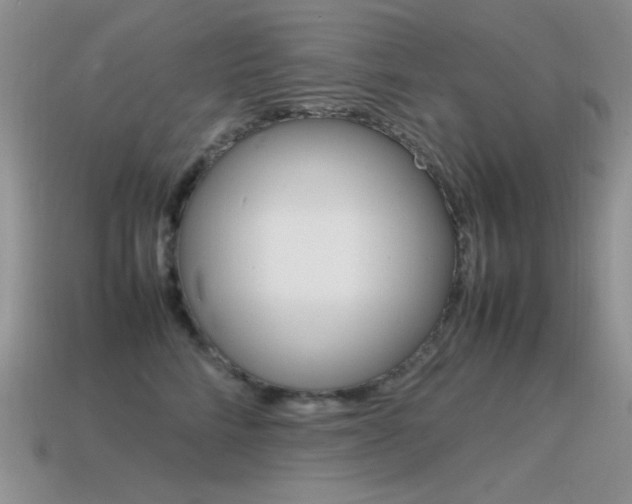 X0000115560712200911061148
