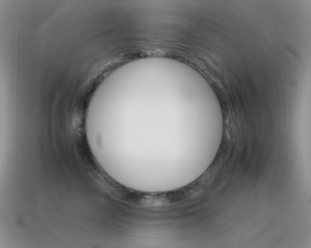 X0000115560714200911061147