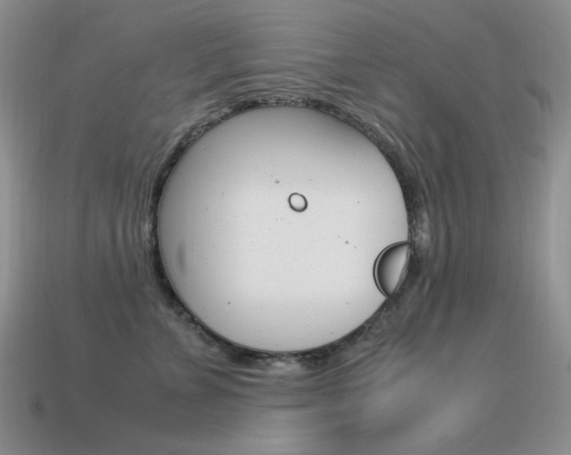 X0000115560715200911061147