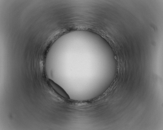 X0000115560716200911061147
