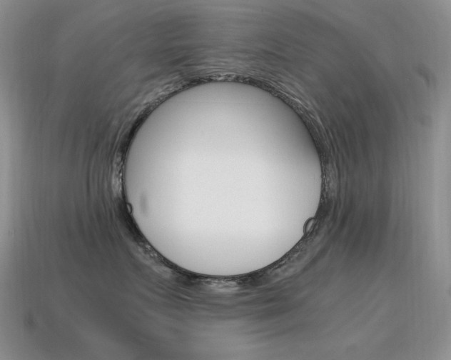 X0000115560719200911061147