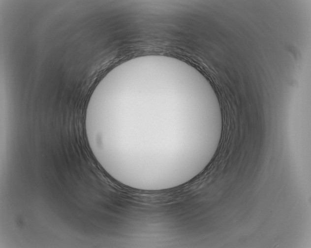 X0000115560720200911061147