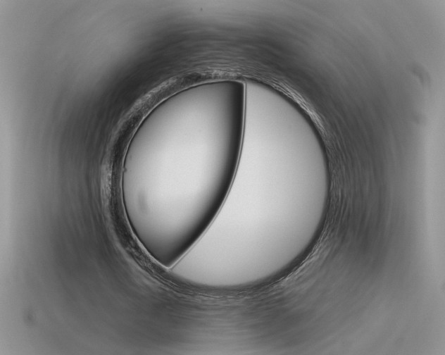 X0000115560722200911061147