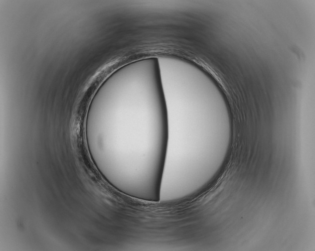 X0000115560723200911061147