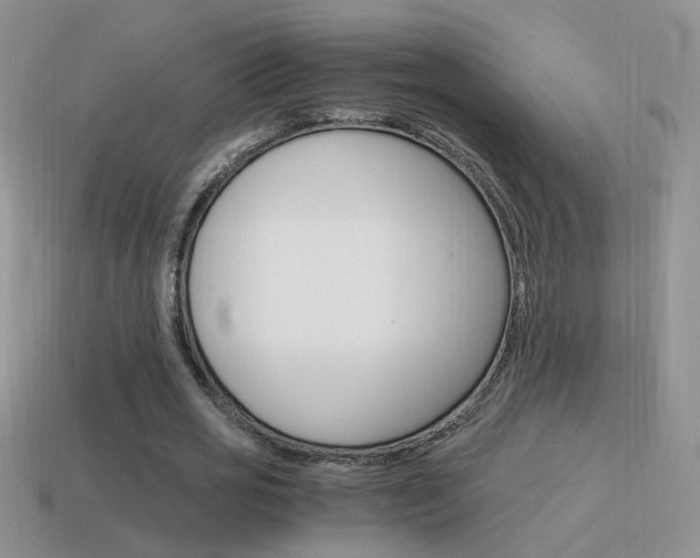 X0000115560725200911061147