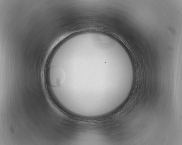 X0000115560726200911061147