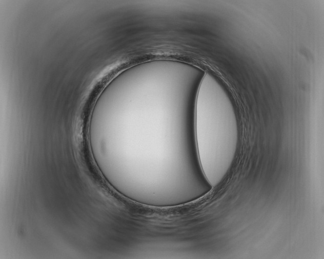 X0000115560727200911061147