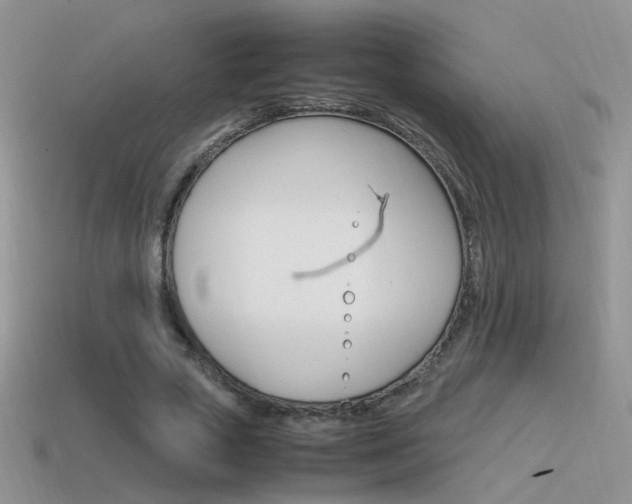 X0000115560729200911061147