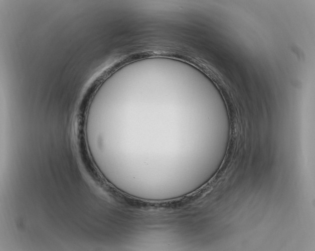 X0000115560730200911061147