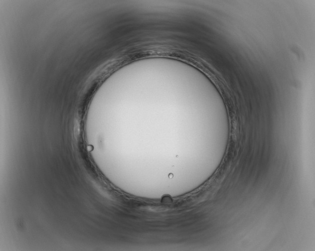 X0000115560733200911061147