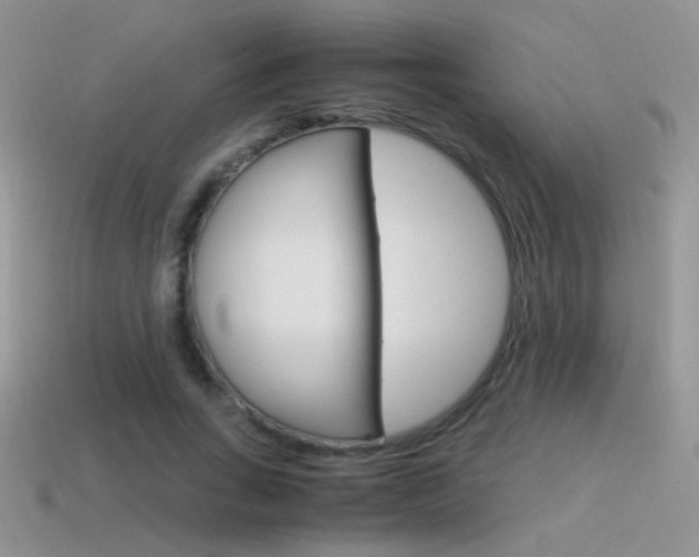 X0000115560735200911061147