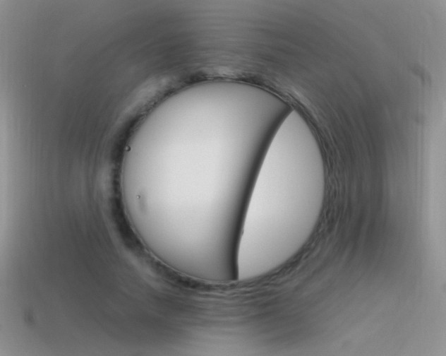 X0000115560738200911061147