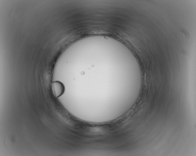 X0000115560741200911061147