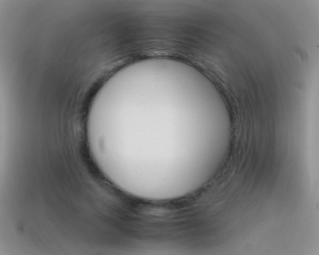 X0000115560743200911061147