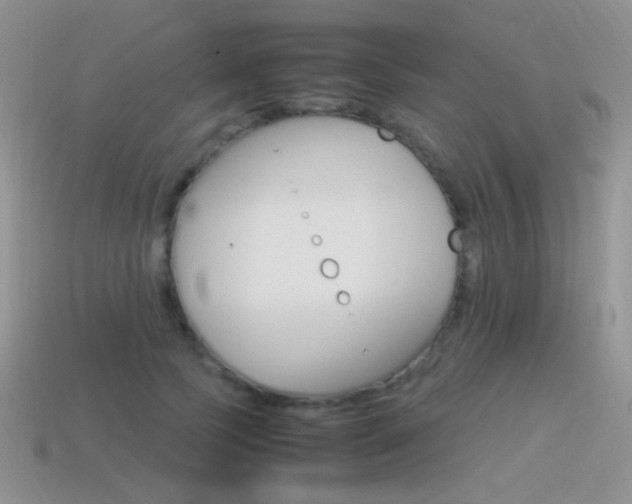 X0000115560745200911061147