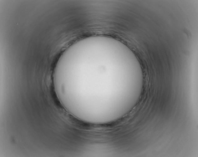 X0000115560746200911061147