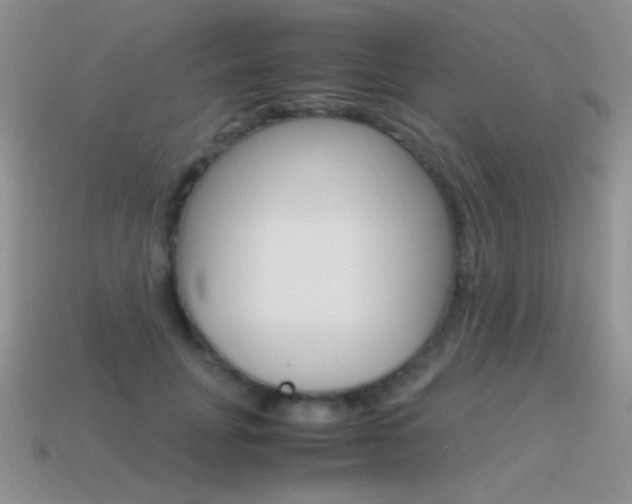 X0000115560751200911061147