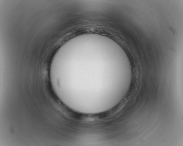 X0000115560754200911061147