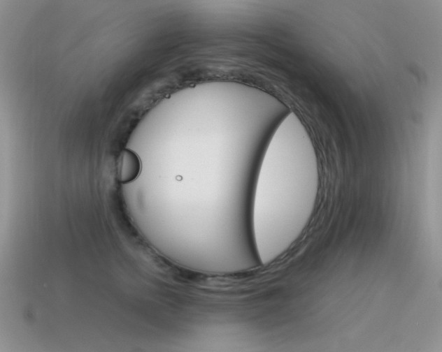 X0000115560758200911061147
