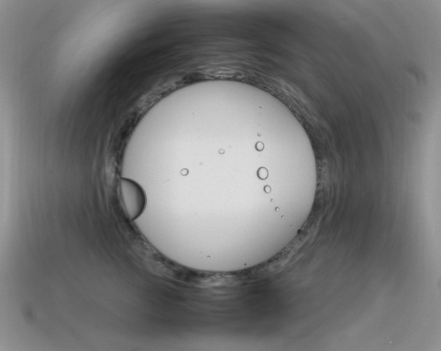 X0000115560761200911061147