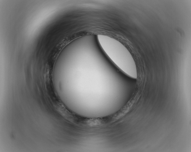 X0000115560762200911061147