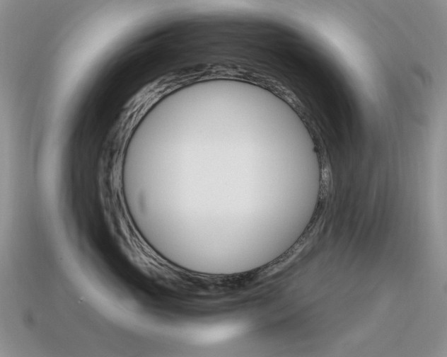 X0000115560765200911061147