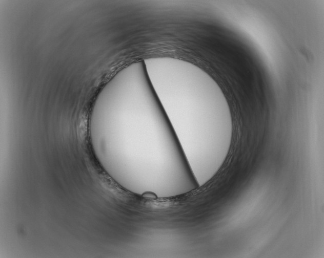 X0000115560767200911061147