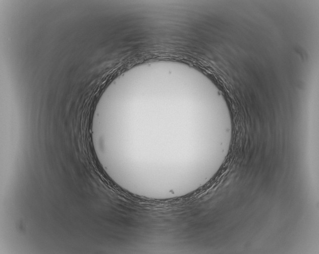 X0000115560769200911061147