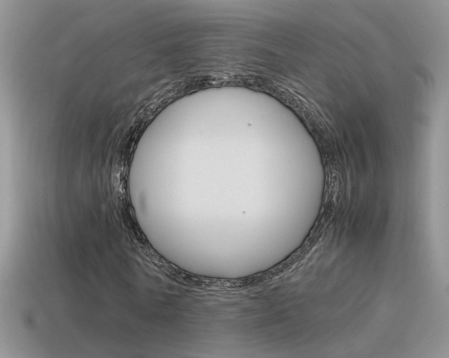 X0000115560770200911061147