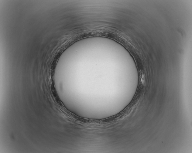 X0000115560771200911061147