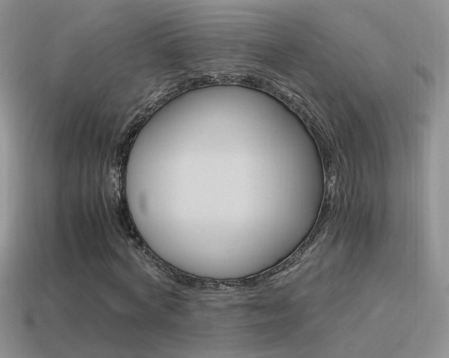 X0000115560772200911061147