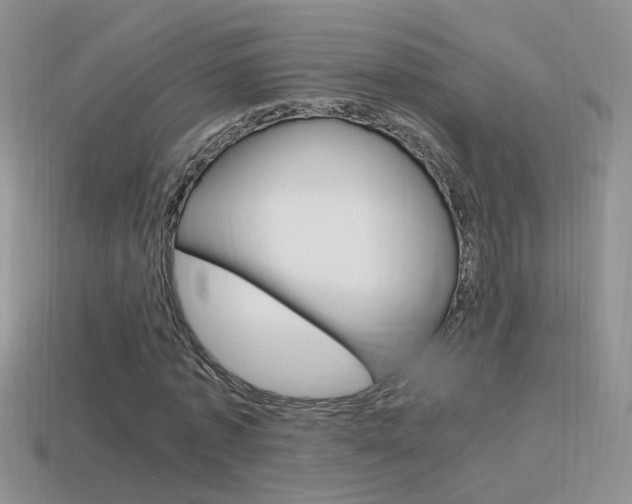 X0000115560773200911061147