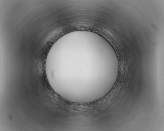X0000115560774200911061147