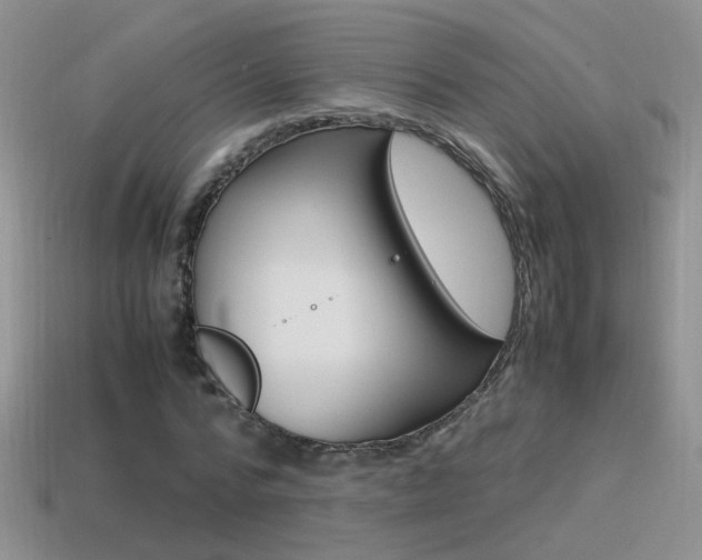 X0000115560776200911061147