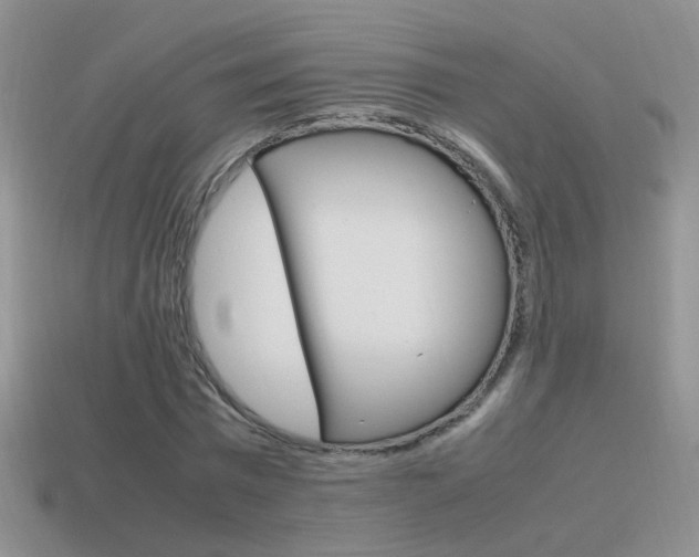 X0000115560777200911061147