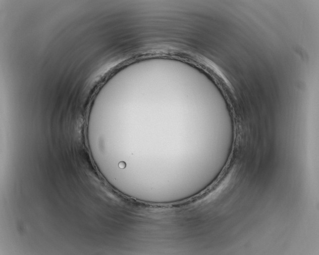 X0000115560778200911061146